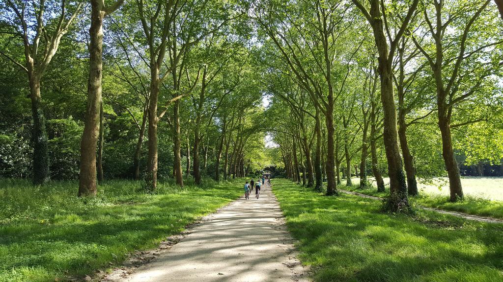 Apartmán Les Carres Versailles Exteriér fotografie