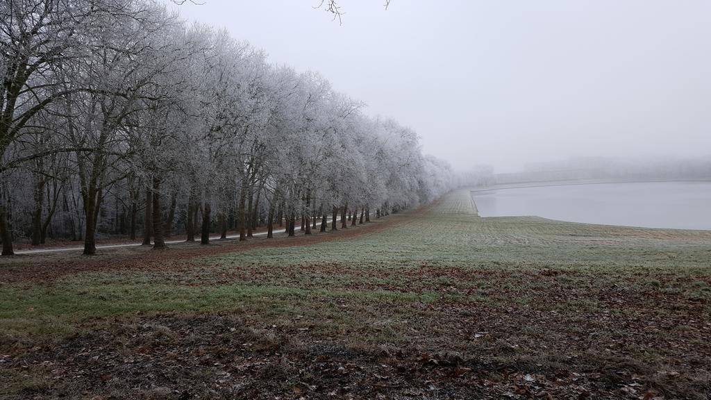 Apartmán Les Carres Versailles Exteriér fotografie